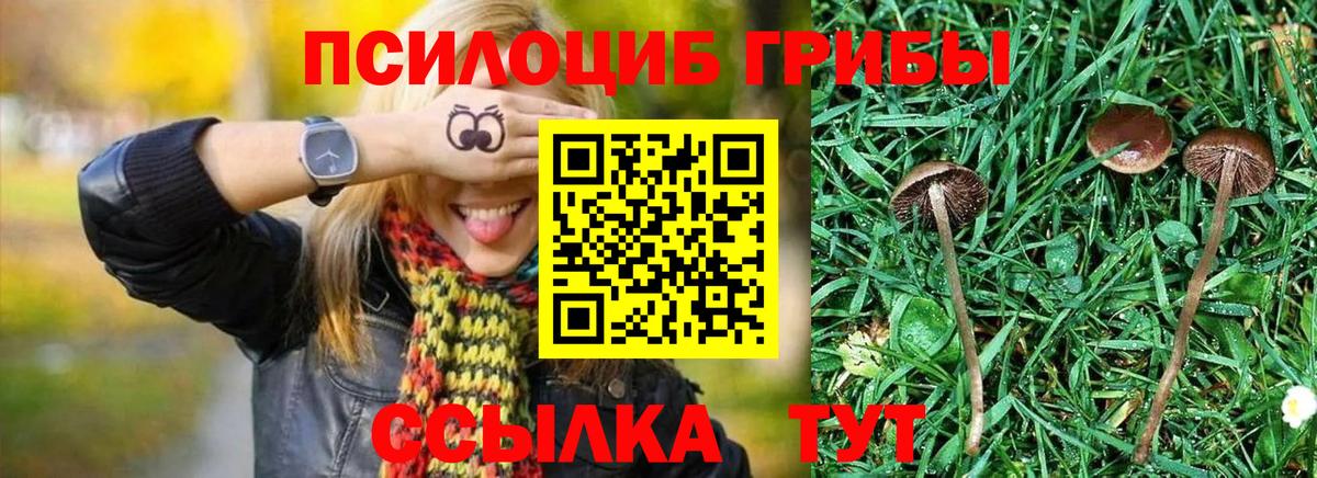 магазин продажи   Псилоцибиновые грибы Psilocybe  Галлюциногенные грибы Psilocybine cubensis  Вход с VPN  Славгород 