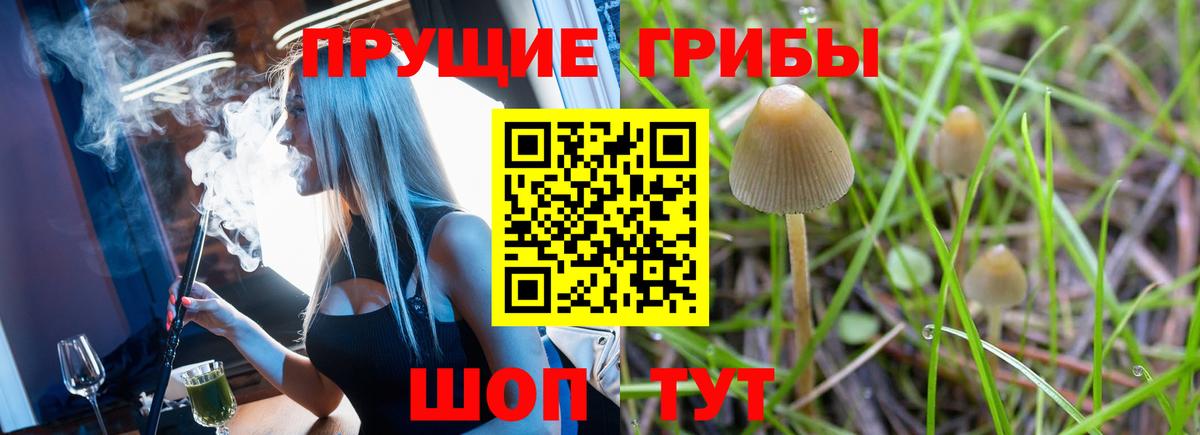 Галлюциногенные грибы MAGIC MUSHROOMS Славгород